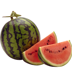 watermelon_01.jpg